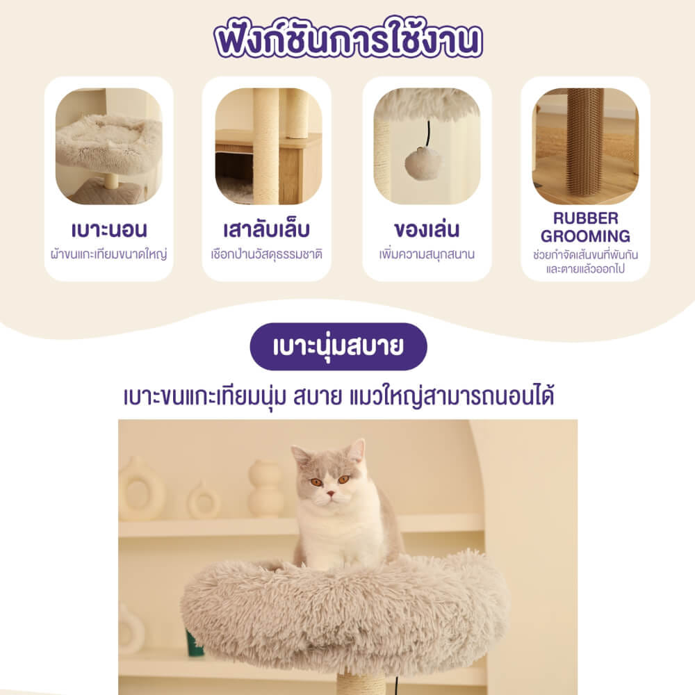 คอนโดแมว Catry รุ่น Cat Tree Casio สีเบจ
